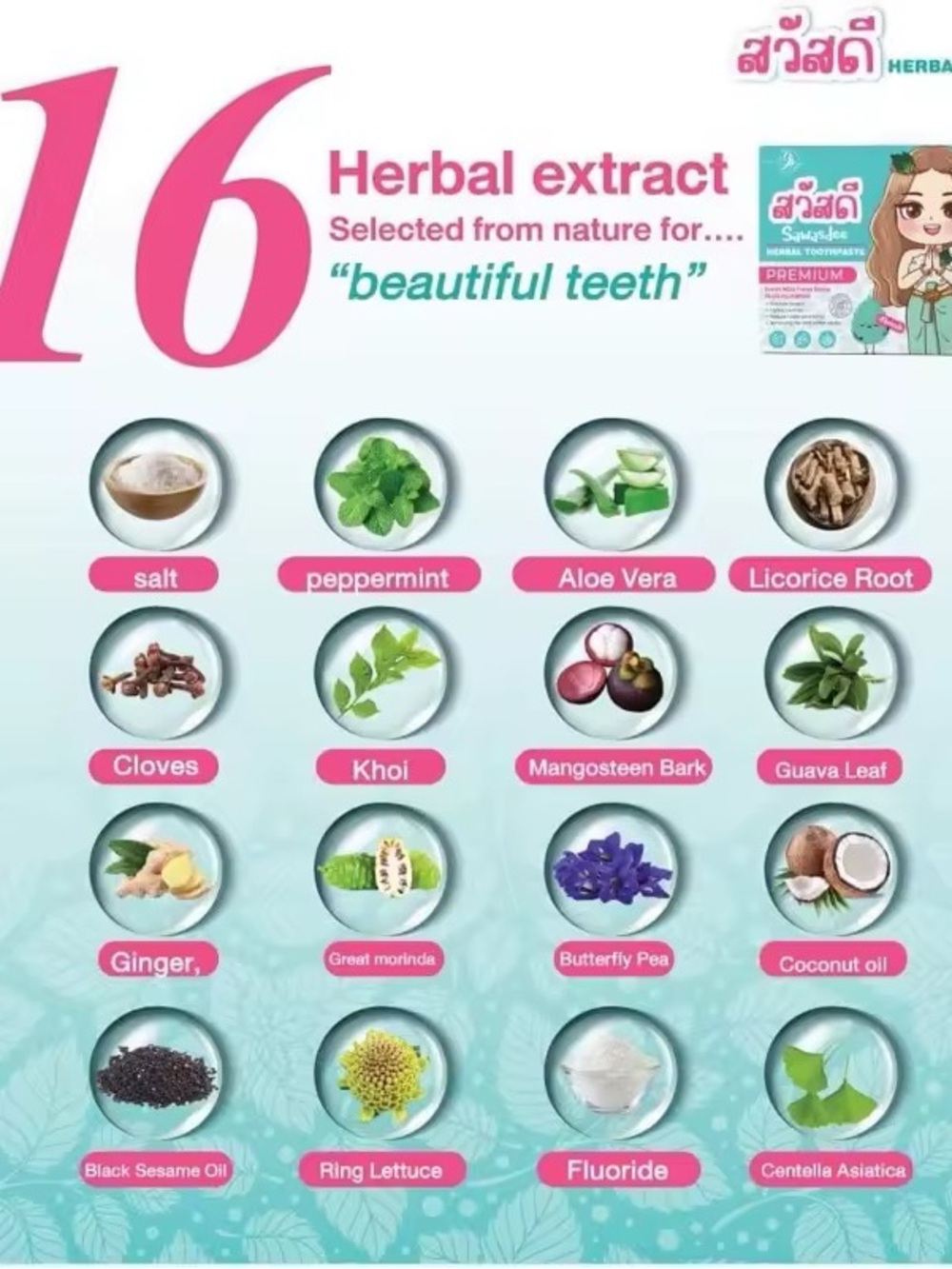 Herbal Toothpaste -SAWASDEE (Premium) - Picture 2 of 6